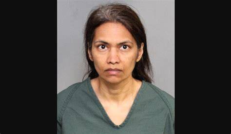 "Blood on Her Hands" Mom Slit Son’s Throat After Disneyland Trip | Saritha Ramaraju