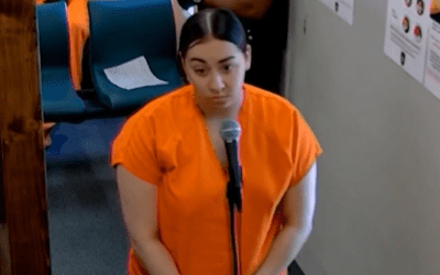 Florida Man | Delivery Driver Stabs Pregnant Woman 14 Times Over a $2 Tip | Brianna Alvelo