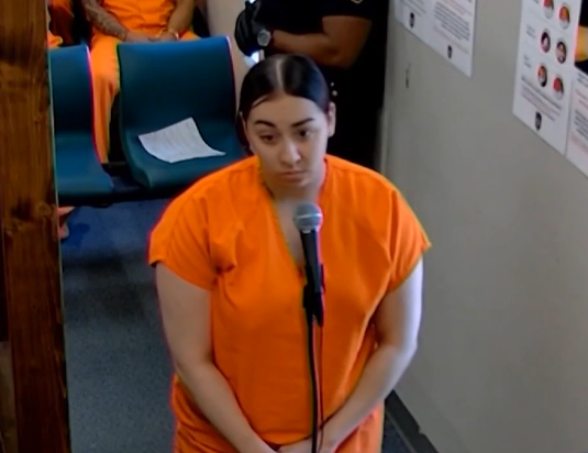 Florida Man | Delivery Driver Stabs Pregnant Woman 14 Times Over a $2 Tip | Brianna Alvelo